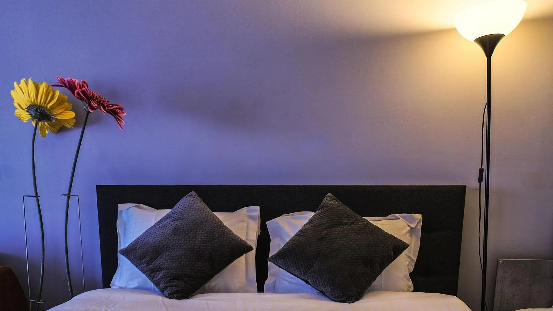 Apartment Comfort Trendy Suite Ostend